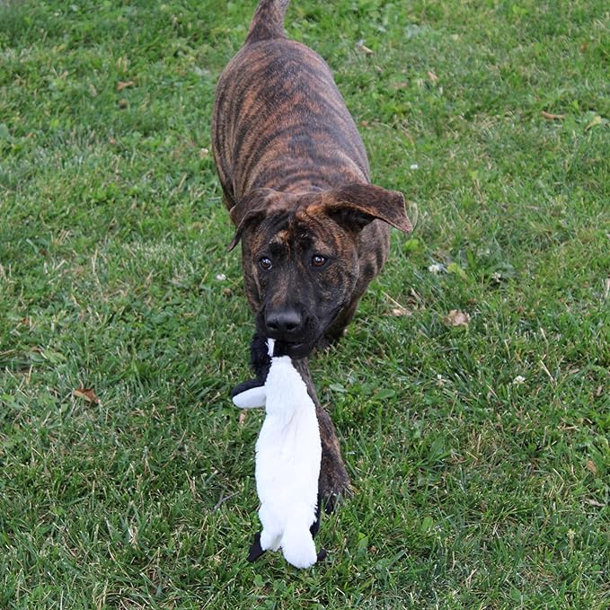 SPOT Skinneeez Stuffing Free Arctic Animal Dog Toy - with Squeaker in Head and Tail, Stuffingless Design is Great for Moderate Chewers, Tug Toy for Small Puppies & Dogs - 15in, Assorted Styles, 1 Toy