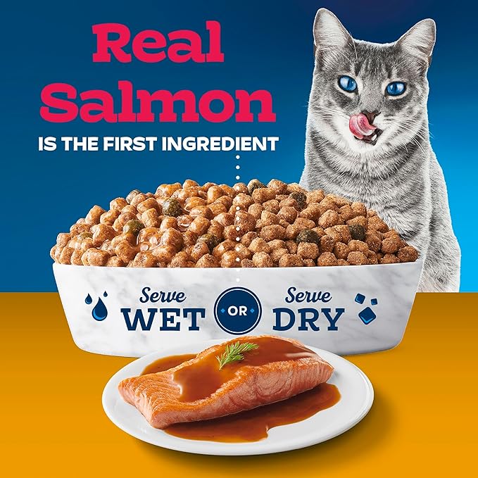 Blue Buffalo Tastefuls Irresistible Gravy Experience Adult Indoor Cat Dry Food, Salmon & Brown Rice Recipe, 7-lb. Bag