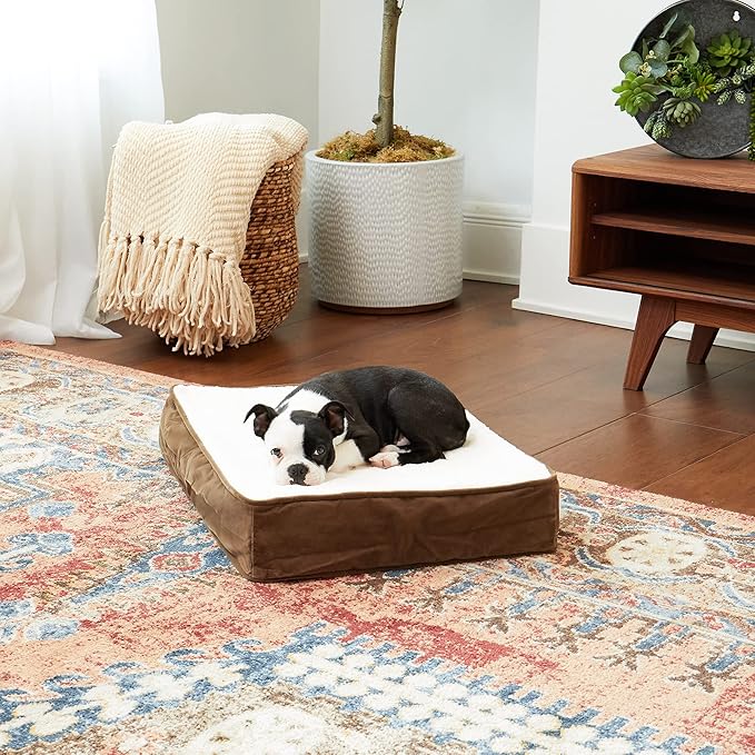 Happy Hounds Oscar Rectangle Orthopedic Foam Sherpa Dog Bed, Extra Small (24 x 18 in.), Mocha
