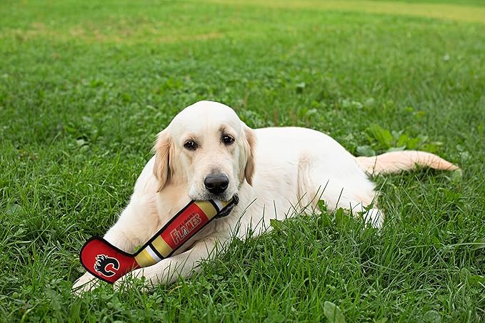 Pets First CGY-3232 Pet Toy