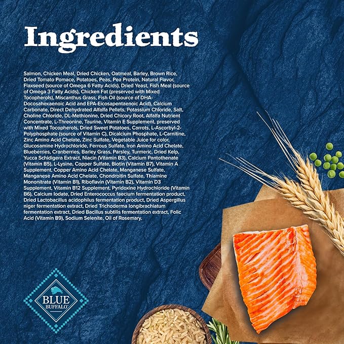 Blue Buffalo Wilderness High-Protein Natural Dry Food for Senior Dogs, Salmon Recipe, 24-lb. Bag