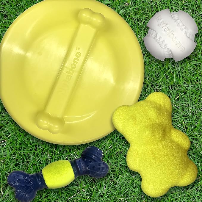 Nylabone Power Play Tennis Ball Teddy Bear Gripz Felt Rubber Fetch Toy, Squeaky Toys for Dogs, Medium (1 Count)