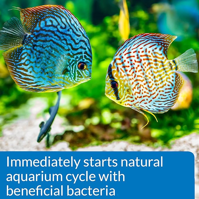 API QUICK START Freshwater and Saltwater Aquarium Nitrifying Bacteria 1-Ounce Bottle, Blues & Purples