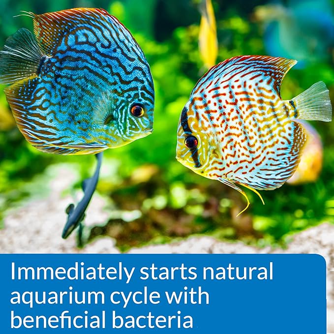 API QUICK START Freshwater and Saltwater Aquarium Nitrifying Bacteria 4-Ounce Bottle