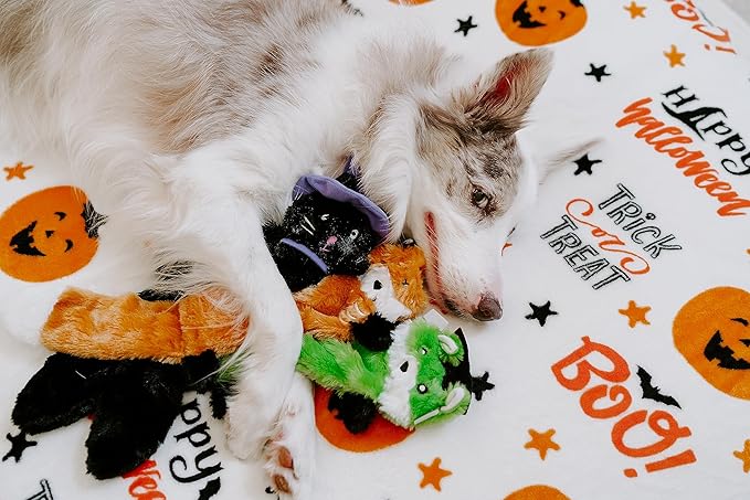 ZippyPaws Halloween Skinny Peltz-Zombie Fox,Franken-Weasel,&Witch Cat No Stuffing Squeaky Dog Toys,Flat Unstuffed Puppy Toy for Small & Medium Breeds,Multi-Pack of 3,18'',Orange,Green,PurpleZP1610)