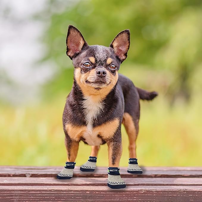 NFL SEATTLE SEAHAWKS Anti Slip Dog Socks with Elastic Ribbed Top, Size X-Small/Small. Indoor/Outdoor Socks, Best Dog Paw Protector, 2 pairs, Cool Puppy Supplies with NFL Logo of SEAHAWKS Football Team