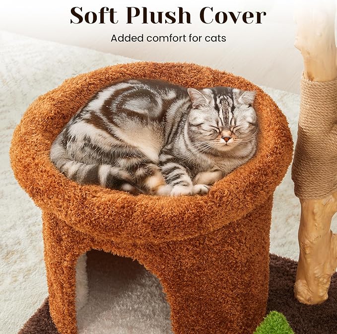Cat Tree Tower, 32-Inch Multi-Level Natural Wooden Cat Furniture with Sisal Scratching Posts, Beds & Condo, Cute Cat Tree for Indoor Cats, Multi-Cat House Hold solds