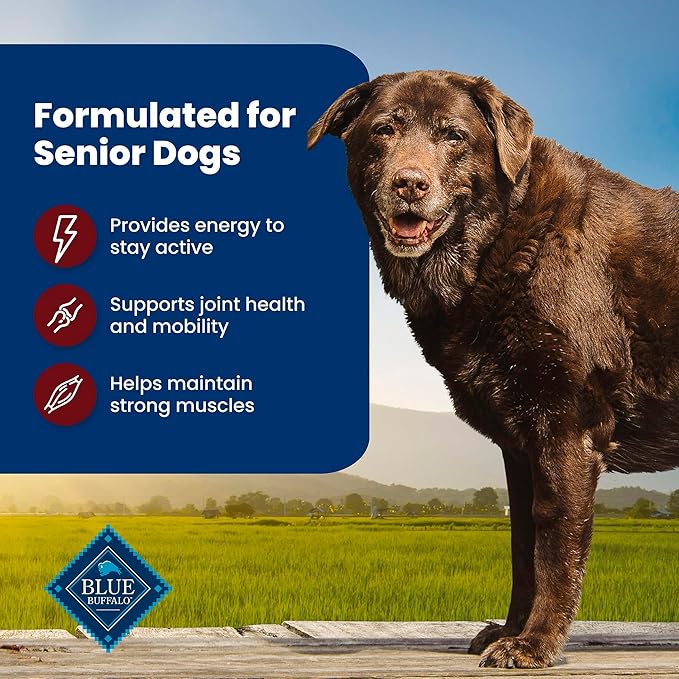 Blue Buffalo Life Protection Formula with LifeSource Bits, Senior 7+ Dry Dog Food, Beef and Brown Rice Recipe, Natural Food for Dogs, 5 lb. Bag