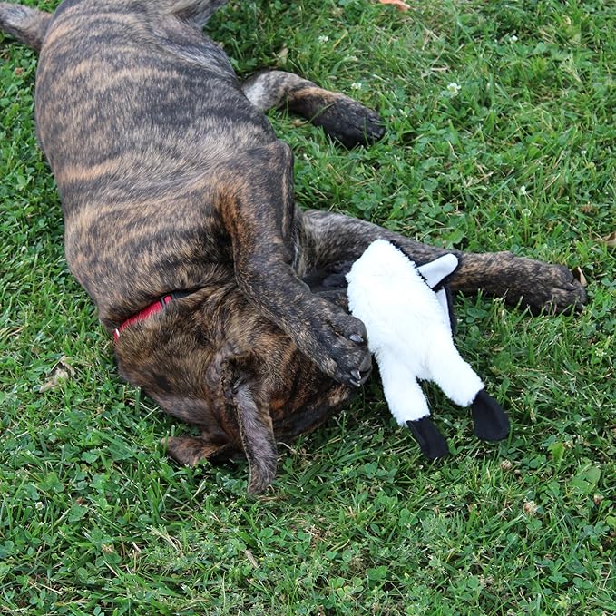 SPOT Skinneeez Stuffing Free Arctic Animal Dog Toy - with Squeaker in Head and Tail, Stuffingless Design is Great for Moderate Chewers, Tug Toy for Small Puppies & Dogs - 15in, Assorted Styles, 1 Toy