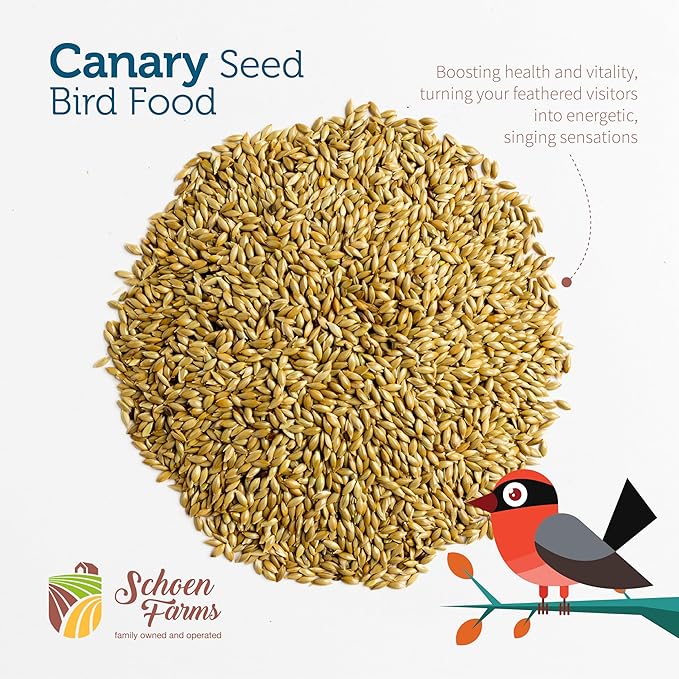 Schoen Farms Canary Seed ALPISTE (5 LBS)