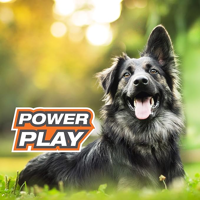Nylabone Power Play Felt Football Gripz Fetch Toy, Squeaky Ball Chew Toy for Dogs, Large (1 Count)