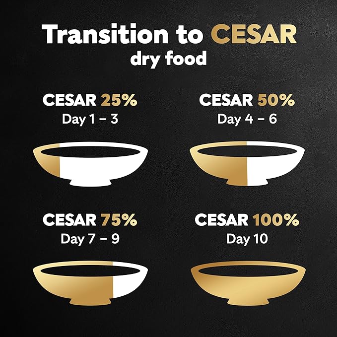 Cesar Small Breed Dry Dog Food for Small Dogs, Rotisserie Chicken Flavor and Spring Vegetables Garnish, 12 lb Bag