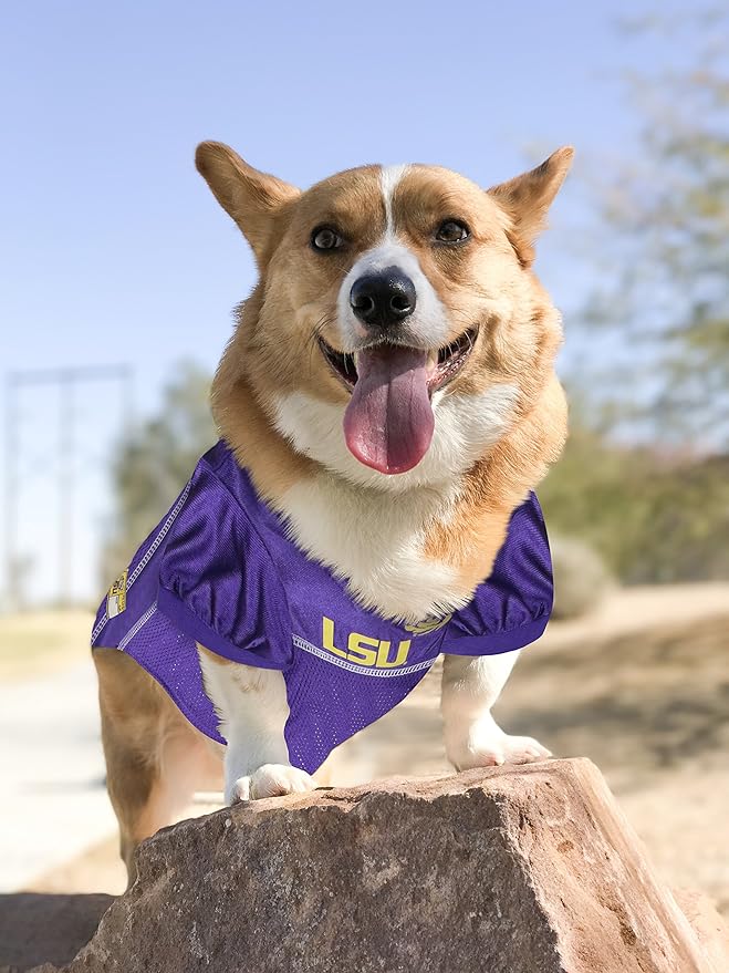 NCAA College Louisiana State University Tigers Mesh Jersey for Dogs & Cats, XX-Large. Licensed Big Dog Jersey with Your Favorite Football/Basketball College Team (Pack of 2)
