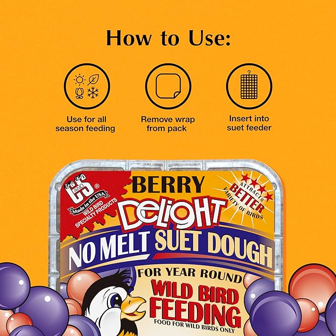 C&S Berry Delight No Melt Suet Dough, Suet Cakes for Wild Birds Including Robins, Blue Jays, Bluebirds, Tanagers, Thrushes and More, 11.75 Ounces, Pack of 8