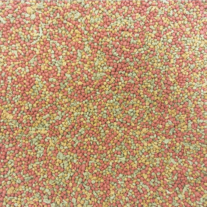 Higgins Intune Parakeet Bird Food 2Lb, Multicolor (466195)