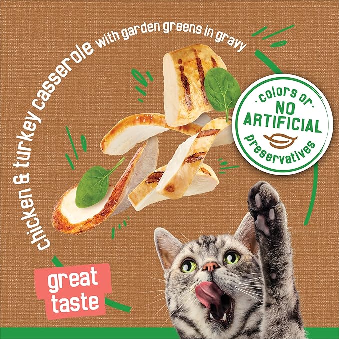 Friskies Purina Indoor Cat Food Chunky Chicken and Turkey Casserole with Garden Greens in Gravy 24/5.5 Oz - 5.5 Oz. Cans (Pack of 48)