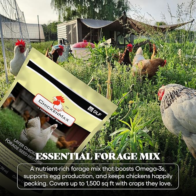 DLF Chicken Max – Forage Seed Mixture for Chickens, Poultry, and Farms – Layer Mix with Clover, Ryegrass, Buckwheat, and Flax – High-Protein Feed for Laying Hens, Chicks, and Coops – 5LB Bag