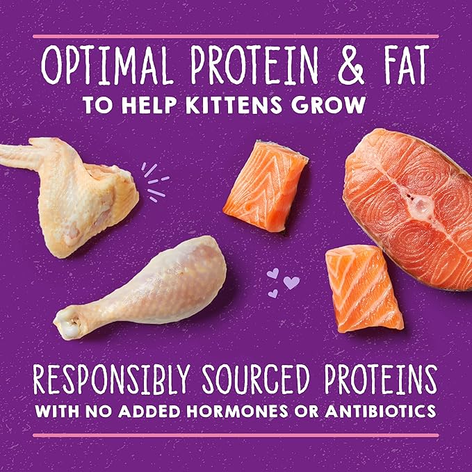Stella & Chewy's Carnivore Cravings Purrfect Pate Cans – Grain Free, Protein Rich Wet Cat Food – Cage-Free Chicken & Salmon Kitten Recipe – (2.8 Ounce Cans, Case of 24)