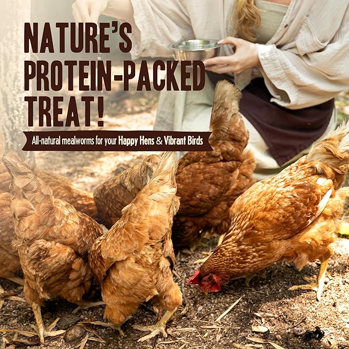 Pet Faves Dried Mealworms for Chickens, Birds, Hamster, Reptile and Turtle - Premium Non-GMO Treats with 55% Protein for Laying Hens - Organic Food for Wild Bird, Bluebirds, Robins, Cardinals. 5 Lb