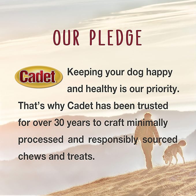 Cadet Gourmet Chicken Wrapped Biscuit Dog Treats,Training Treats for Small and Large Dogs,Inspected & Tested in USA,14 oz.,(Pack of 2)