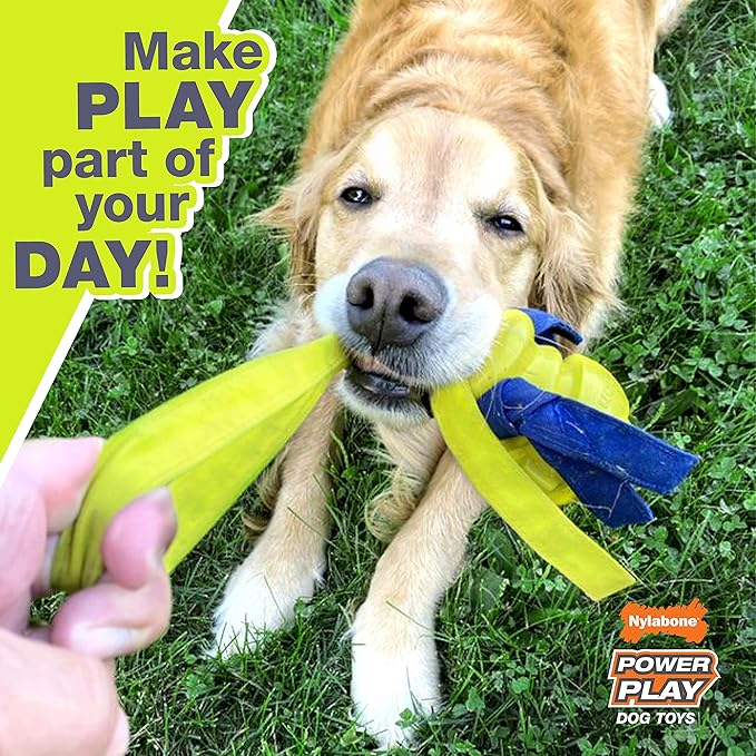 Nylabone Power Play Tennis Gripz Fetch Toy, Squeaky Tennis Ball Chew Toy for Dogs, Small (3 Count) (Pack of 2)