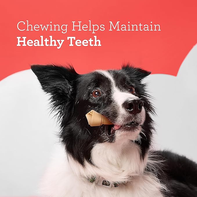 DreamBone Vegetable & Chicken Dog Chews, Rawhide Free, Small, 10-Count