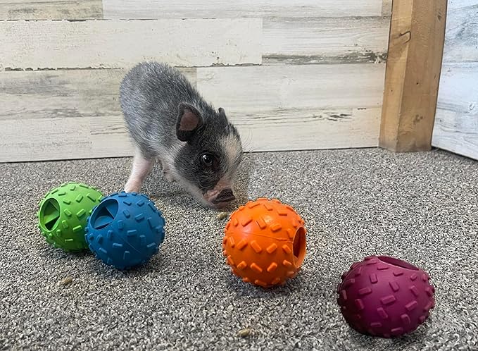Challenging Treat-Dispensing Ball for Pigs Piglets Dogs Rabbits Cats and Other Small Animals – Mental Stimulation and Playtime Fun (Maroon)