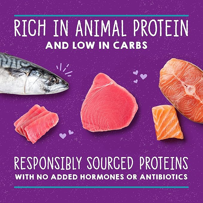 Stella & Chewy's Carnivore Cravings Purrfect Paté - Premium Grain-Free Wet Cat Food - Salmon, Tuna & Mackerel Recipe - High Protein with Bone Broth - Perfect for Picky Eaters - 2.8oz Cans (24 Pack)