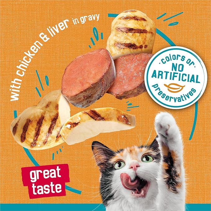 Purina Friskies Wet Cat Food Tasty Treasures With Chicken in Gravy (With Liver) - (Pack of 24) 5.5 oz. Cans