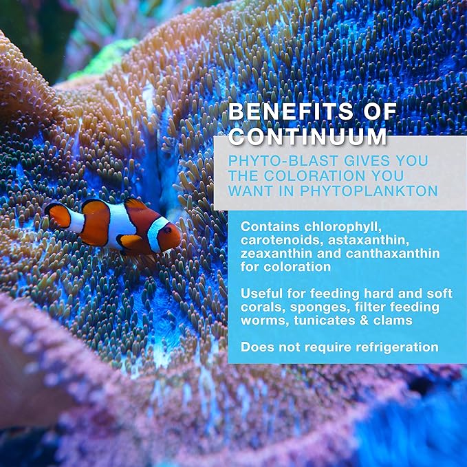 Continuum Aquatics Phyto Blast - Liquid Marine Phytoplankton Feeding Complex for Saltwater Aquariums, 2-l