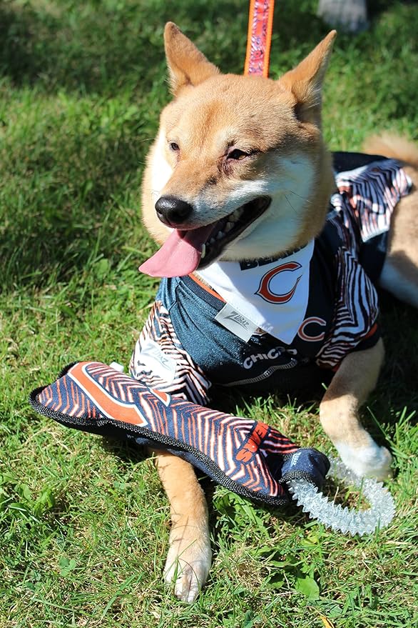 Zubaz NFL Team Logos and Colors Ring Tug Toy with Squeaker for Dogs, Philadelphia Eagles