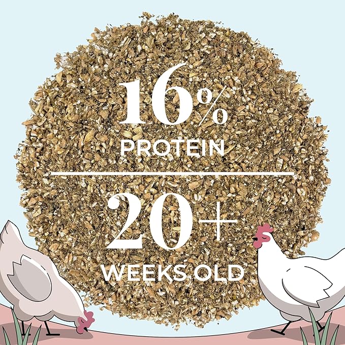 Mile Four Organic 16 Protein MASH Layer Chicken and Duck Feed, 23-LB Bag
