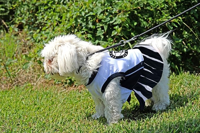 Pets First NBA Brooklyn Nets Cheerleader Dress, Small