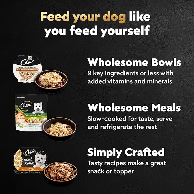 Cesar Wholesome Meals Chicken, Carrots, Barley & Green Beans Wet Dog Food, 17.6 oz. Pouch (6 Count)
