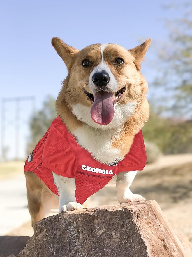 Pets First NCAA College Georgia Bulldogs Mesh Jersey for DOGS & CATS, X-Large. Licensed Big Dog Jersey with your favorite Football/Basketball College Team, Red (GA-4006-XL)