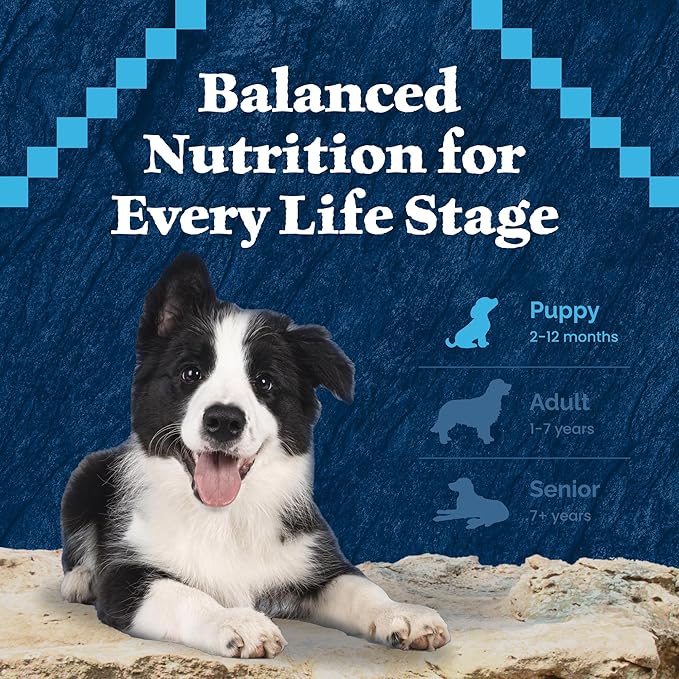Blue Buffalo Wilderness Natural High-Protein & Grain-Free Wet Food for Puppies, Turkey & Chicken, 12.5-oz. Cans, 12 Count