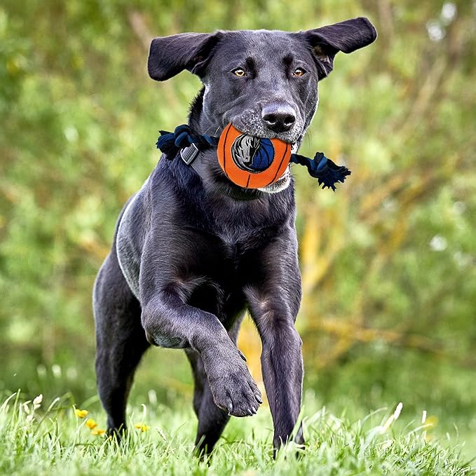 Pets First NBA Dallas Mavericks Basketball Toy. - Tough Nylon Pet Toy with Tug Ropes & Inner Squeaker, One Size, MAV-3105
