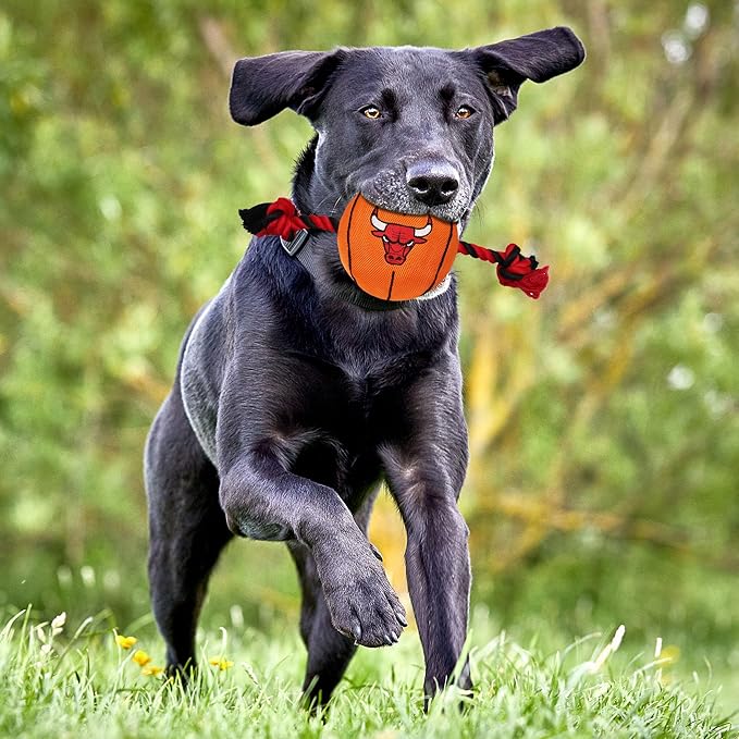 Pets First NBA Chicago Bulls Basketball Toy. - Tough Nylon Pet Toy with Tug Ropes & Inner Squeaker, One Size, BUL-3105