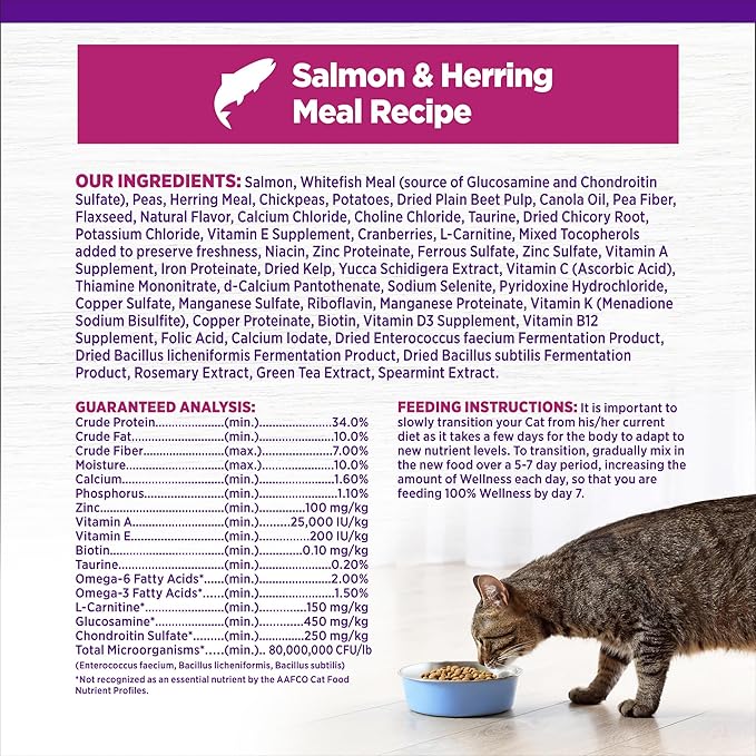 Wellness Complete Health Adult Dry Cat Food for Indoor Cats, Natural, Grain Free Kibble, Salmon and Herring Meal Recipe, 5.5 lb Bag