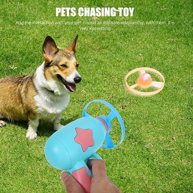 VANZACK 1set Kitten Interactive Flying Disc Toy Outdoor Chasing Game for Cats Engaging Pet Plaything Non-Glowing Discs for Fun
