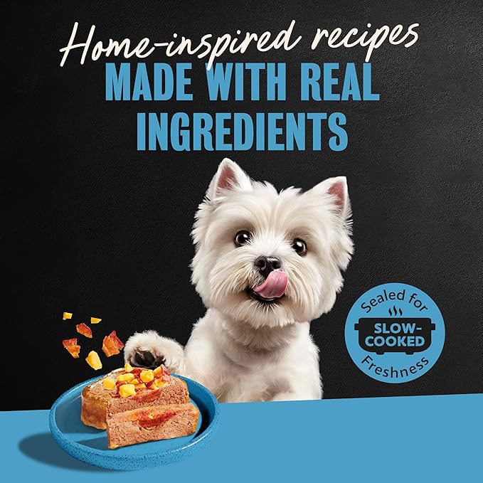 Cesar Loaf & Topper in Sauce Wet Dog Food Rotisserie Chicken Flavor with Bacon & Cheese, 3.5 oz. Easy Peel Trays, 24 Count (Pack of 1)