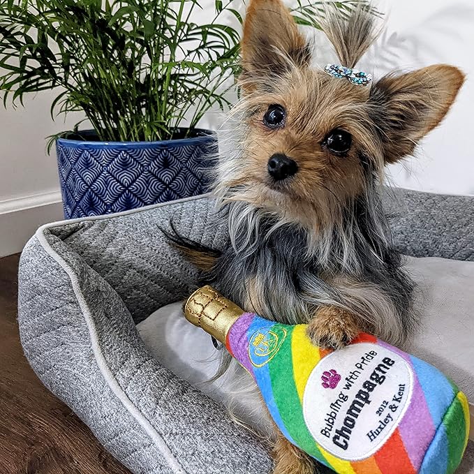 Huxley & Kent for Dogs | Bubbling with Pride Chompagne (Large) | Power Plush Dog Toy with Squeaker | Funny Dog Gift | Fun, Durable, and Safe | H&K Squeaky Dog Toys