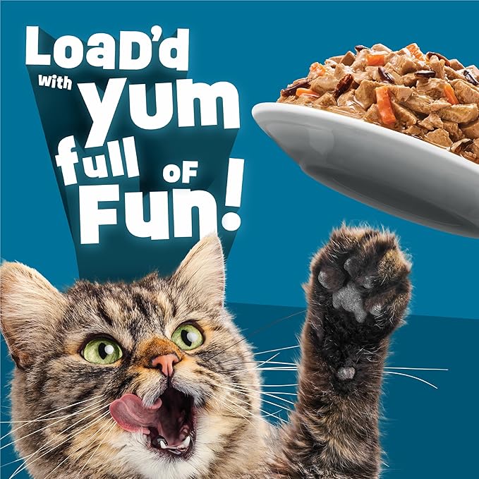 Purina Friskies Fully Load’d Wet Food for Cats with Salmon, Wild Rice, Carrots and Spinach in Sauce - 5.5 Ounce (Pack of 24)
