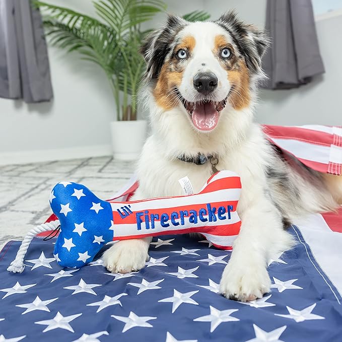 Huxley & Kent for Dogs | Lil' Firecracker Bone (Small) | 4th of July Funny Dog Toy | Power Plush Dog Toy with Squeaker | Dog Gift | Fun, Durable, and Safe | H&K Squeaky Dog Toy