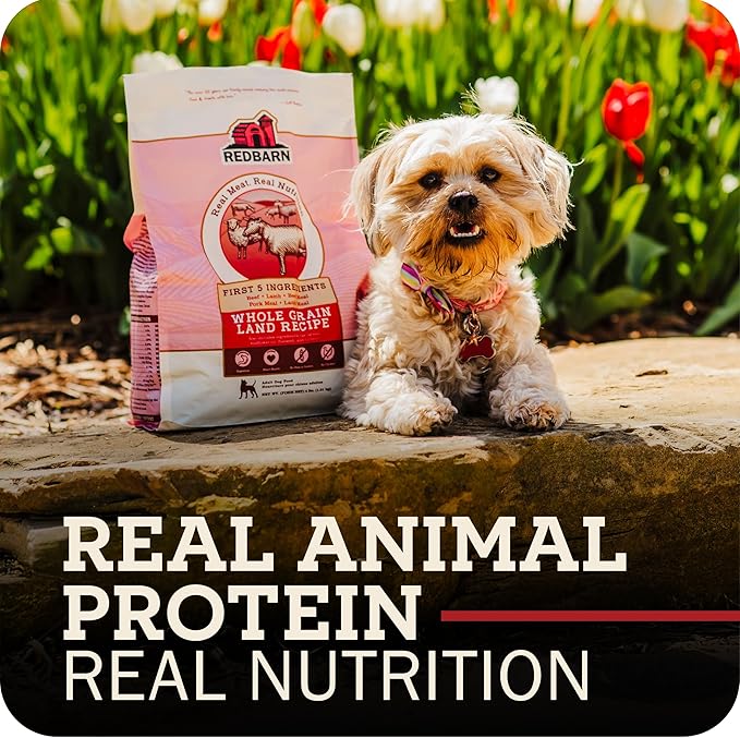 Redbarn Grain-Free Puppy Dry Dog Food Kibble 22 lbs - Beef & Lamb Recipe with DHA, EPA, Probiotics for Brain Development, Digestive Health, Skin & Coat Support, Made in USA