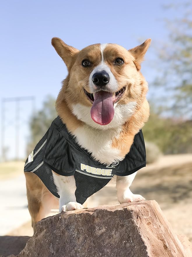 Pets First NCAA College Purdue Boilermakers Mesh Jersey for DOGS & CATS, X-Large. Licensed Dog Jersey with your Favorite Football/Basketball College Team