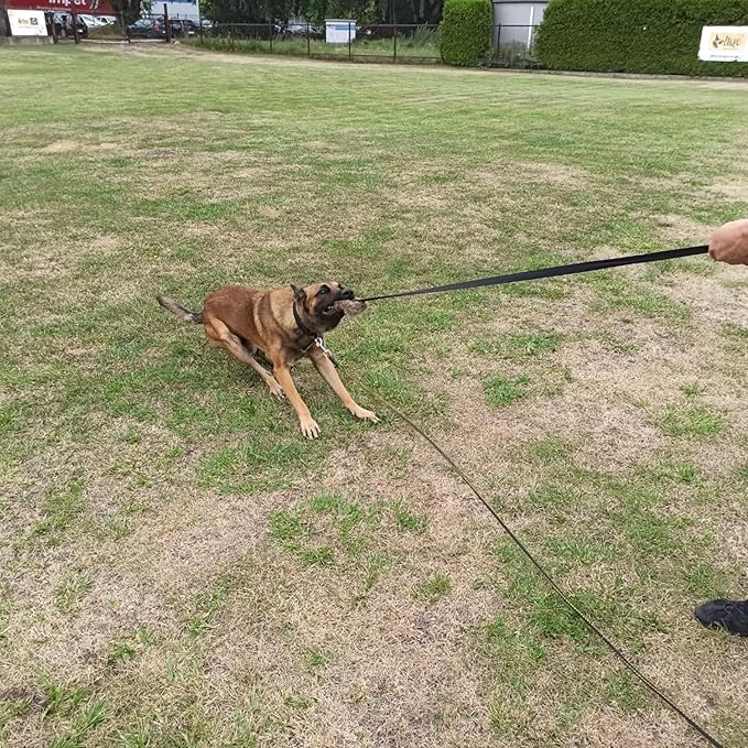 Dingo Faux Fur tug Toys for Dog with Bungee and Long Handle for Dog Training Agility Motivation Reward, Z30021