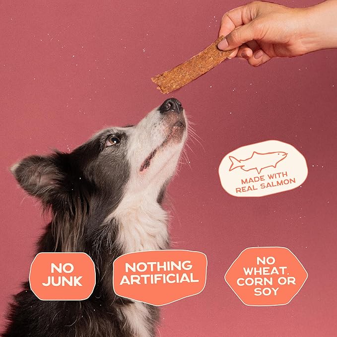 Smart Cookie Salmon Jerky Dog Treats - DHA & Omega Strips for Dogs & Puppies with Allergies, Sensitive Stomachs with Wild Caught Alaskan Salmon- Dehydrated, Grain Free, Made in USA - 3oz Bag Pack of 1