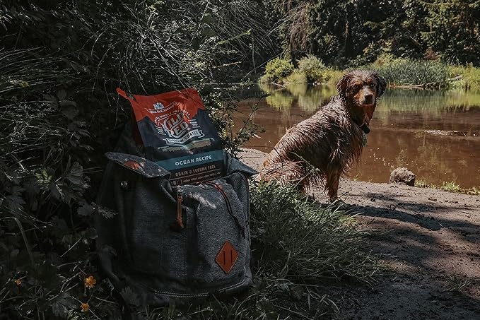 Stella & Chewy's Wild Red Dry Dog Food Raw Coated High Protein Grain & Legume Free Ocean Recipe, 3.5 lb. Bag (Pack of 2)