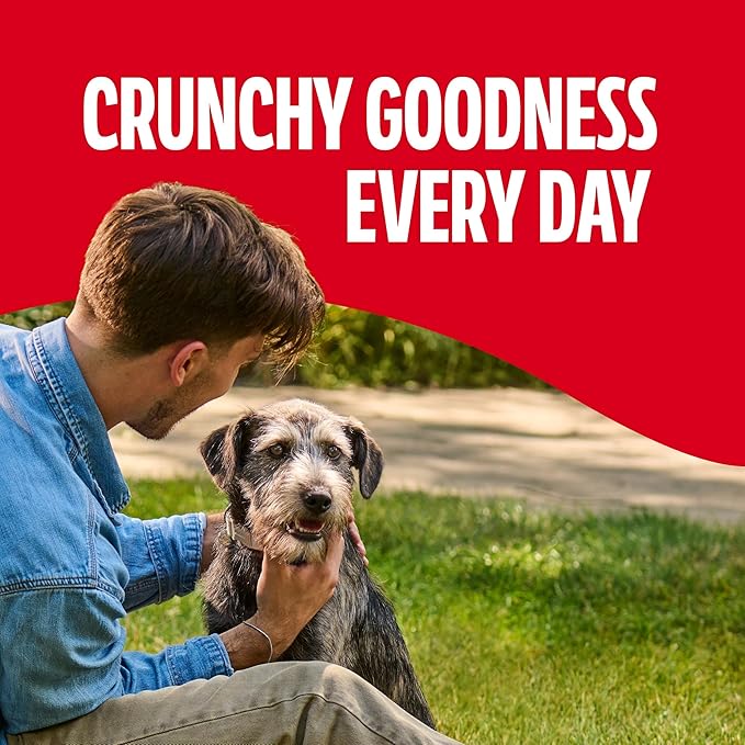 Milk-Bone Dog Treats for Medium Dogs, 24 Ounce | Pack of 2 | Crunchy | Helps Clean Teeth